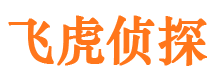 凌河私家侦探公司